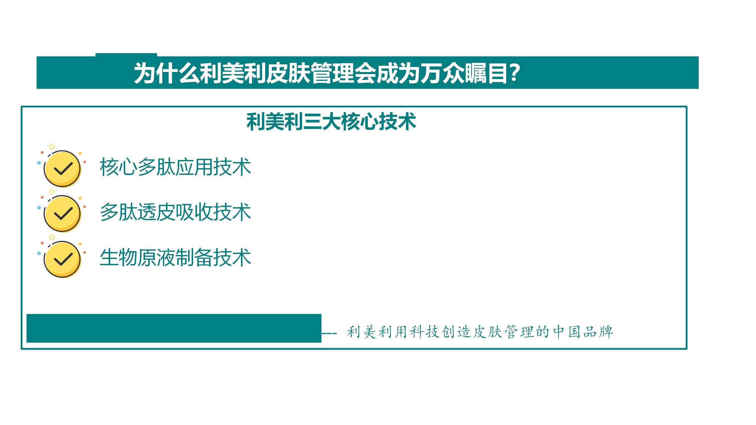 利美利品牌说明PPT李总_09.jpg